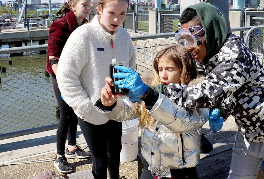 billion oyster project 4 students examining oysters